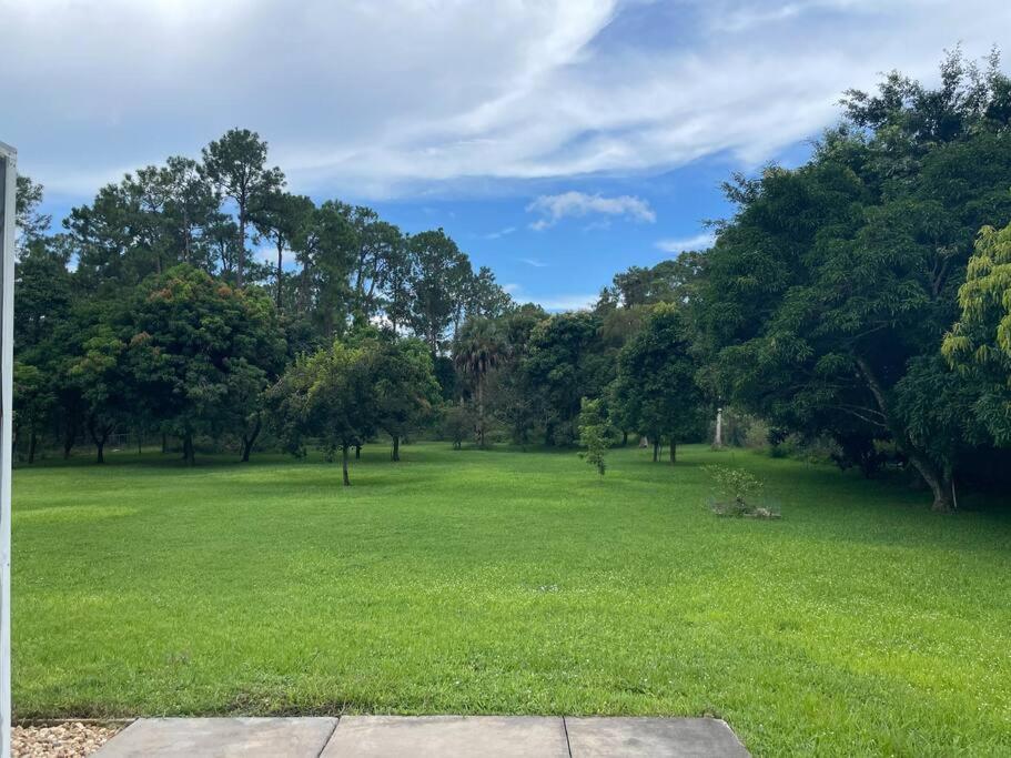 La Finca... Beautiful Countryside Home ! Napoli Bagian luar foto